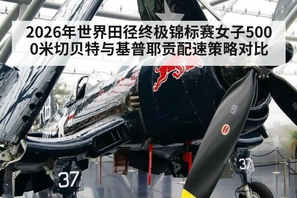 2026年世界田径终极锦标赛女子5000米切贝特与基普耶贡配速策略对比